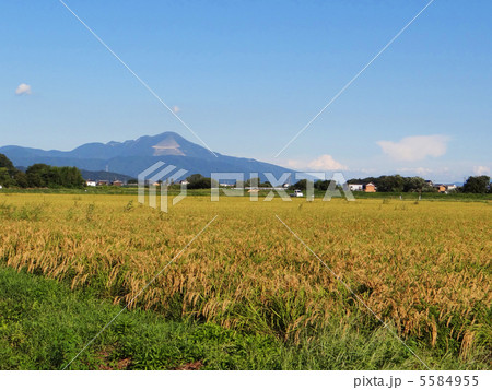 田園風景 5584955