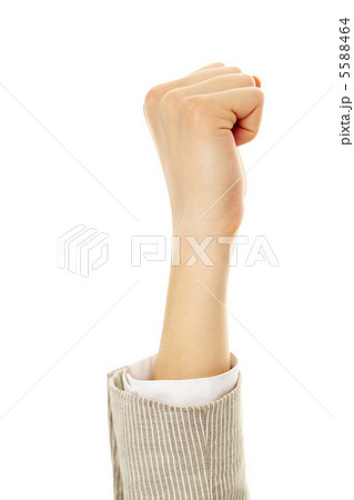 Fist Fist 5588464