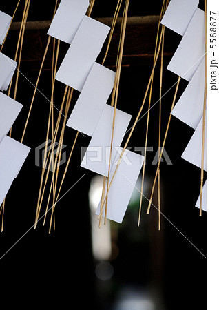 紙垂 5588877