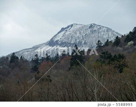 富良野西岳 富良野西岳 5588993