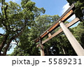 鳥居 5589231