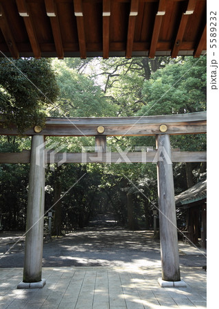 鳥居 5589232