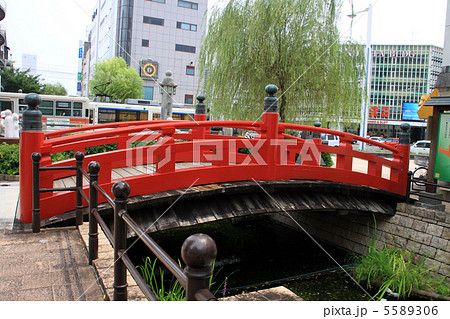 はりまや橋 はりまや橋 5589306
