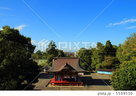 青空に映える深紅の舞殿 5589530