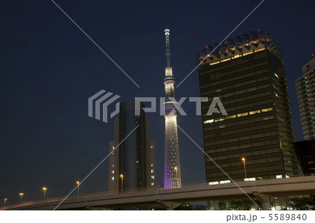 スカイツリー スカイツリー 5589840