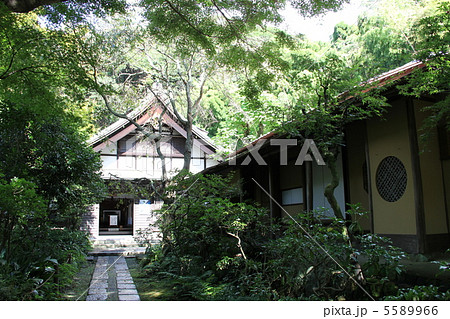 瑞泉寺境内 瑞泉寺境内 5589966