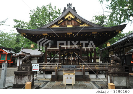 京都　護王神社　拝殿 5590160