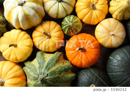 カボチャ 5590232
