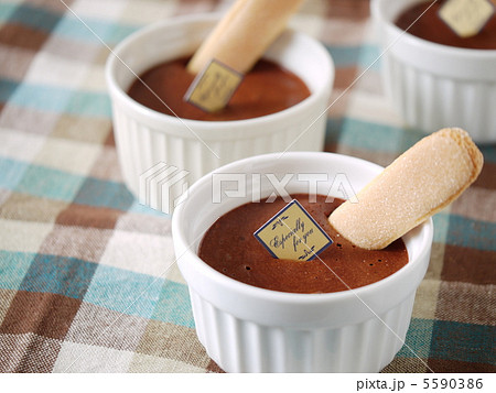 チョコレートムース　ビスキュイ添え　Ⅱ 5590386