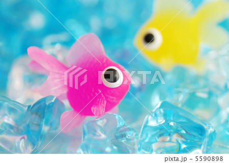おもちゃの金魚 おもちゃの金魚 5590898