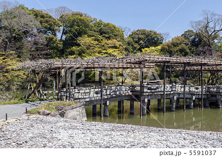 仙洞御所　南池の八ッ橋 5591037
