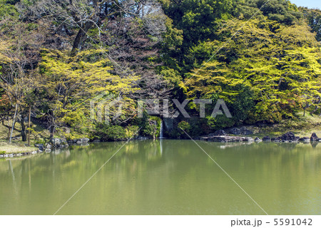 仙洞御所　南池の雄滝 5591042
