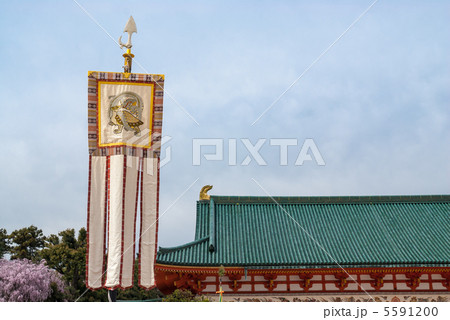 平安神宮　四神旗・玄武 5591200