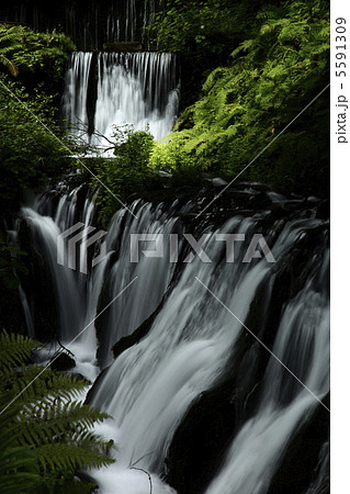 軽井沢 白糸の滝 軽井沢 白糸の滝 5591309