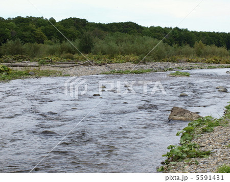 日本サーモンフィッシング発祥の地　忠類川 5591431