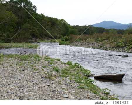日本サーモンフィッシング発祥の地　忠類川 5591432
