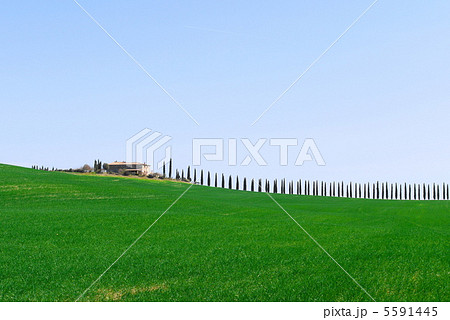 トスカーナ　ヴァル・ドルチャ 5591445