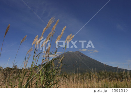 羊蹄山 5591519