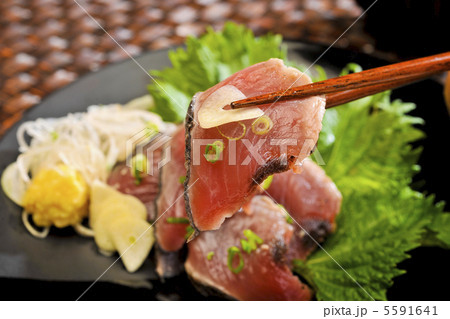 鰹のタタキ 5591641