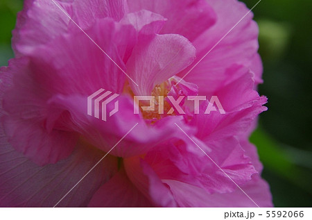 すいふよう 9月 すいふよう 9月 5592066