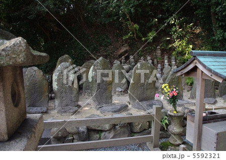 平家一門の墓 七盛塚 平家一門の墓 七盛塚 5592321