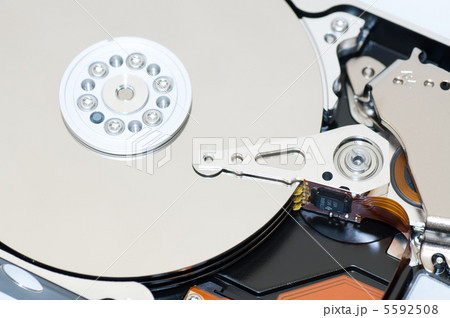 ハードディスク ハードディスク 5592508