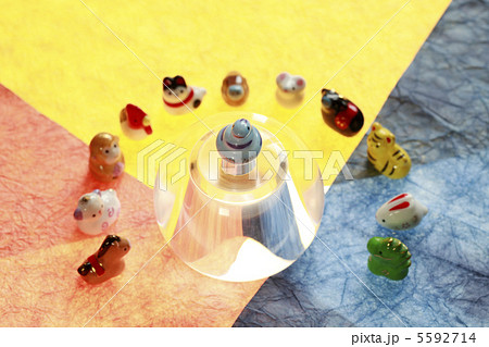 巳年 巳年 5592714