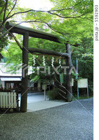 野宮神社 野宮神社 5592903
