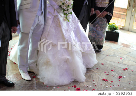 結婚式の新郎新婦と両親の衣装　下半身 5592952