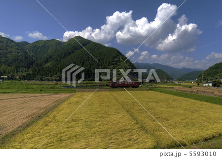 秋の長良川鉄道 5593010