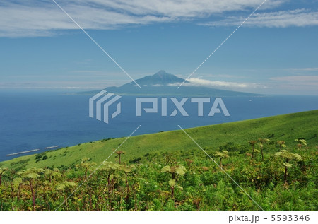 浮島 利尻島利尻富士 礼文島からの眺望 浮島 利尻島利尻富士 礼文島からの眺望 5593346