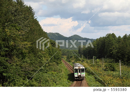 ＳＬニセコ号 5593380