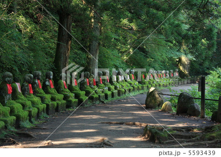 おじぞうさん 5593439