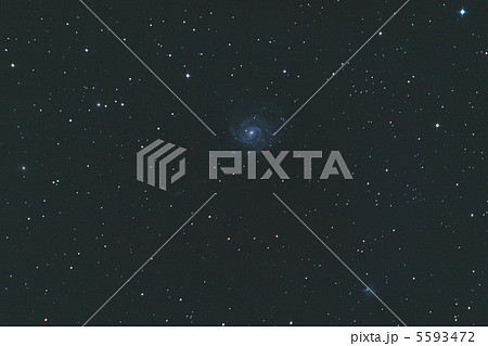 おおぐま座　M101星雲 5593472