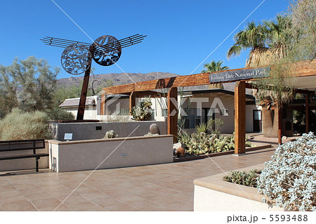 ジョシュア・ツリー国立公園 5593488