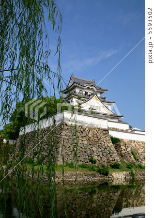 岸和田城 5593502