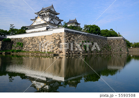 岸和田城 岸和田城 5593508