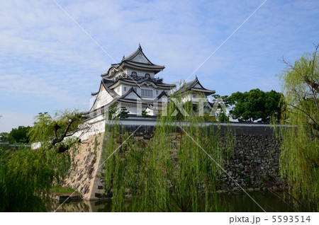 岸和田城 岸和田城 5593514