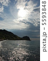 海 5593848