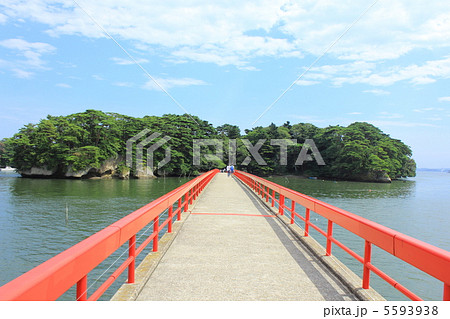 松島の福浦島 松島の福浦島 5593938