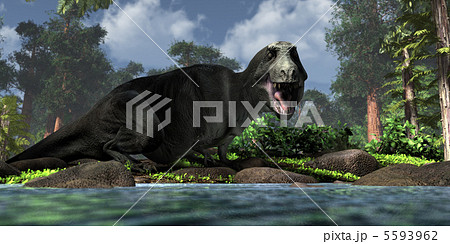 水辺のティラノサウルスのイラスト素材