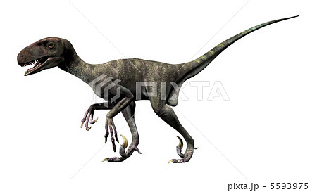 デイノニクス 羽毛なし のイラスト素材
