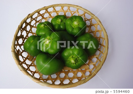 トマピー 5594460