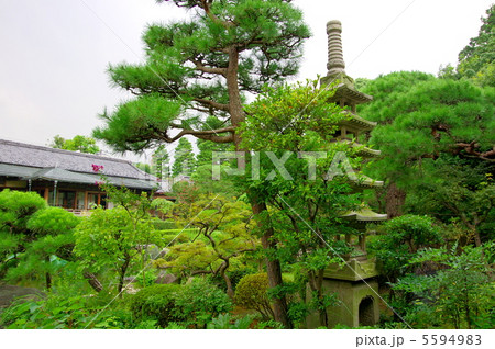 柴又帝釈天の邃渓園 柴又帝釈天の邃渓園 5594983