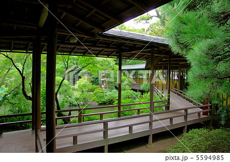 柴又帝釈天の邃渓園 5594985