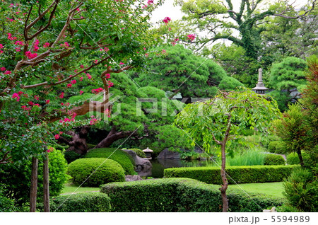 柴又帝釈天の邃渓園 5594989