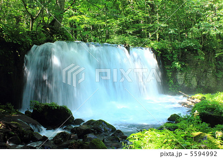 奥入瀬渓流の銚子大滝 奥入瀬渓流の銚子大滝 5594992