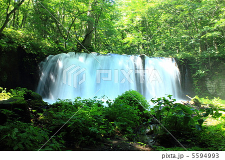 奥入瀬渓流の銚子大滝 奥入瀬渓流の銚子大滝 5594993