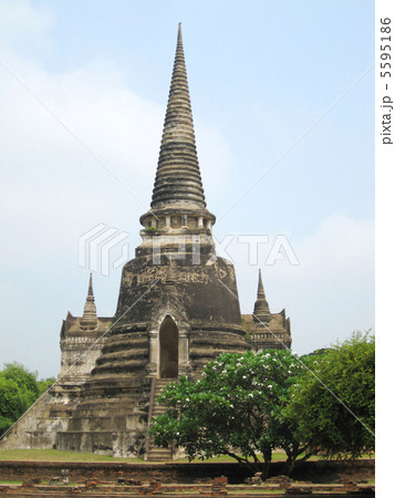 アユタヤのワットプラシーサンペット アユタヤのワットプラシーサンペット 5595186