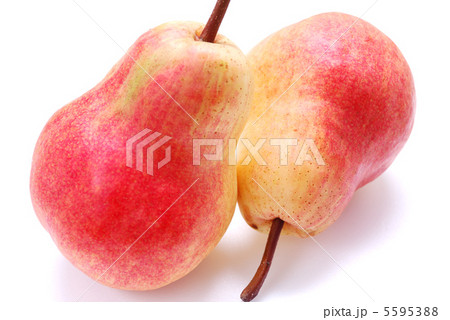 西洋なし 5595388